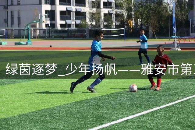 绿茵逐梦 少年扬帆——雅安市第三届校园足球精英夏令营暨首届小学生足球邀请赛圆满收官